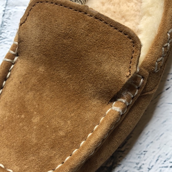 🔹UGG Slippers - Picture 5 of 7